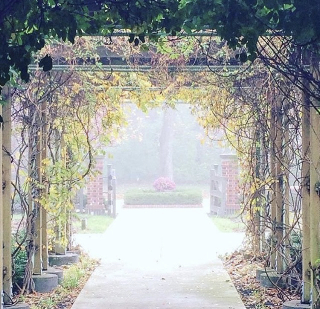 Wedding Land Rentals